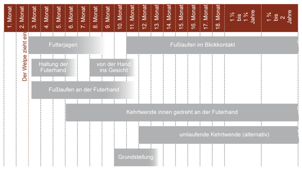 Reihenfolge Fußlaufen Aufbau