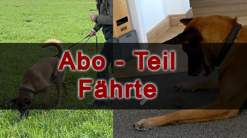 Abo IGP Fährte