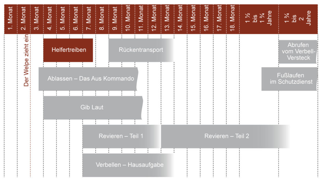 Schutzdienst / Protection IGP Video Abo