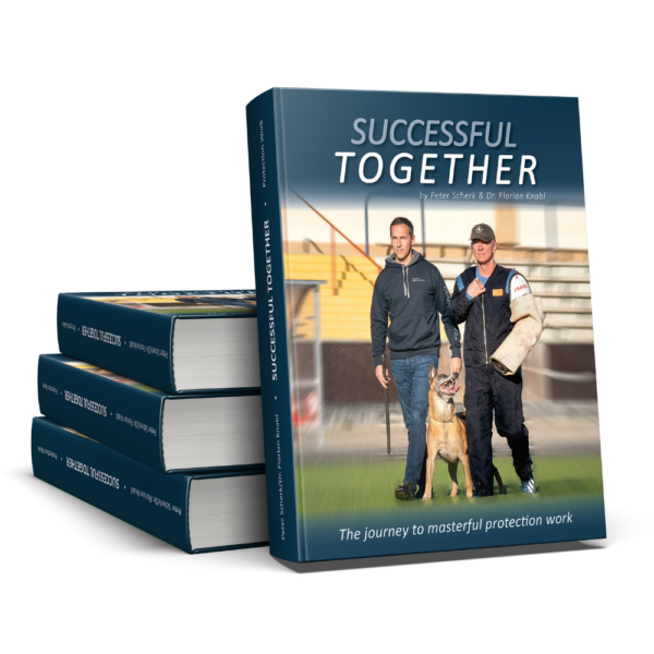 Successful Together - Protection eBook
