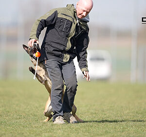 Bestätigung mit Beute beim Fußlaufen / Freifolge