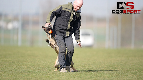 Bestätigung mit Beute beim Fußlaufen / Freifolge